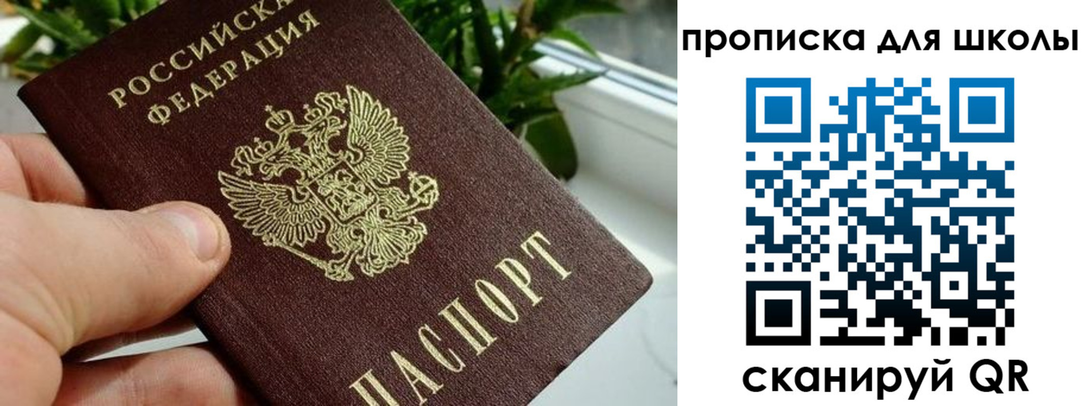 регистрация для дет. сада в Алейске